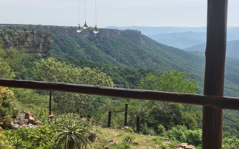 thimg_IMG_1615_800x500