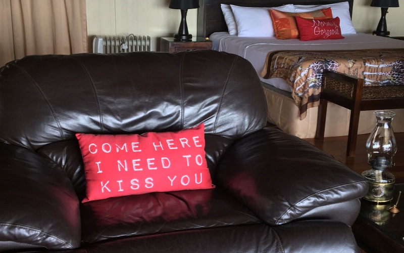 thimg_IMG_1616_800x500