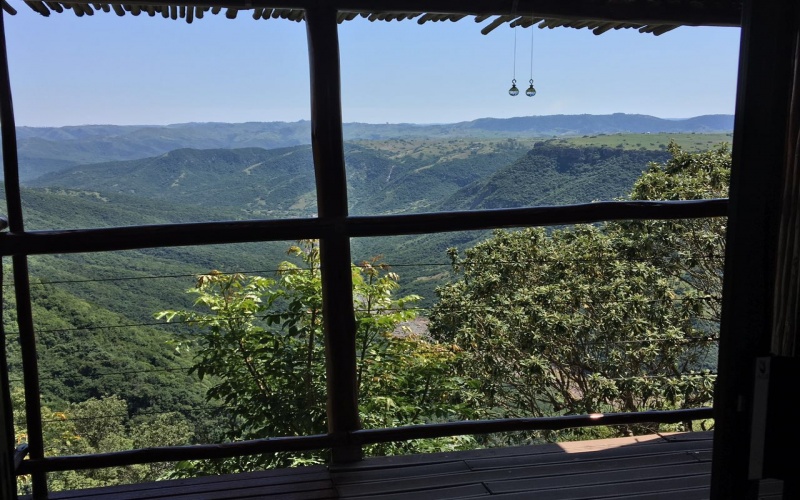 thimg_IMG_4876_800x500