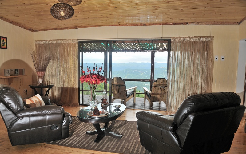 thimg_Image-32_800x500